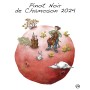 Pinot Noir de Chamoson 2024 - Domaine des Petites Planètes