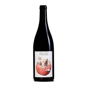 Pinot Noir de Chamoson 2024 - 75cl - AOC Valais - Domaine des Petites Planètes Pinot Noir de Chamoson 2024 - Domaine des Petites Planètes