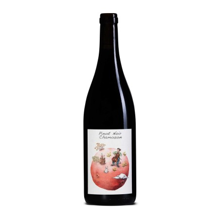 Pinot Noir de Chamoson 2024 - Domaine des Petites Planètes